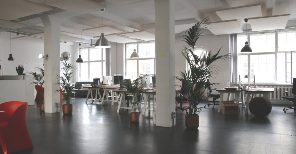 Spacious modern office interior with desks, plants, and natural lighting in Berlin.